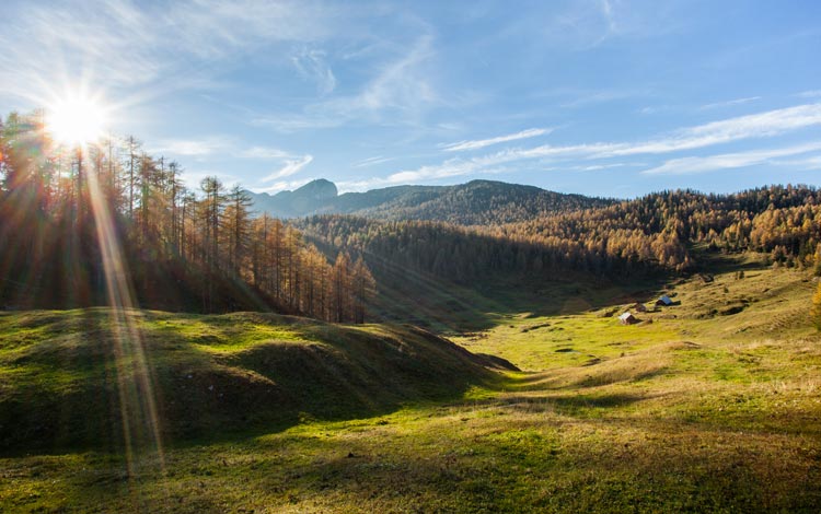 Planina Klek na Pokljuki (foto: Aleš Zdešar, STO)