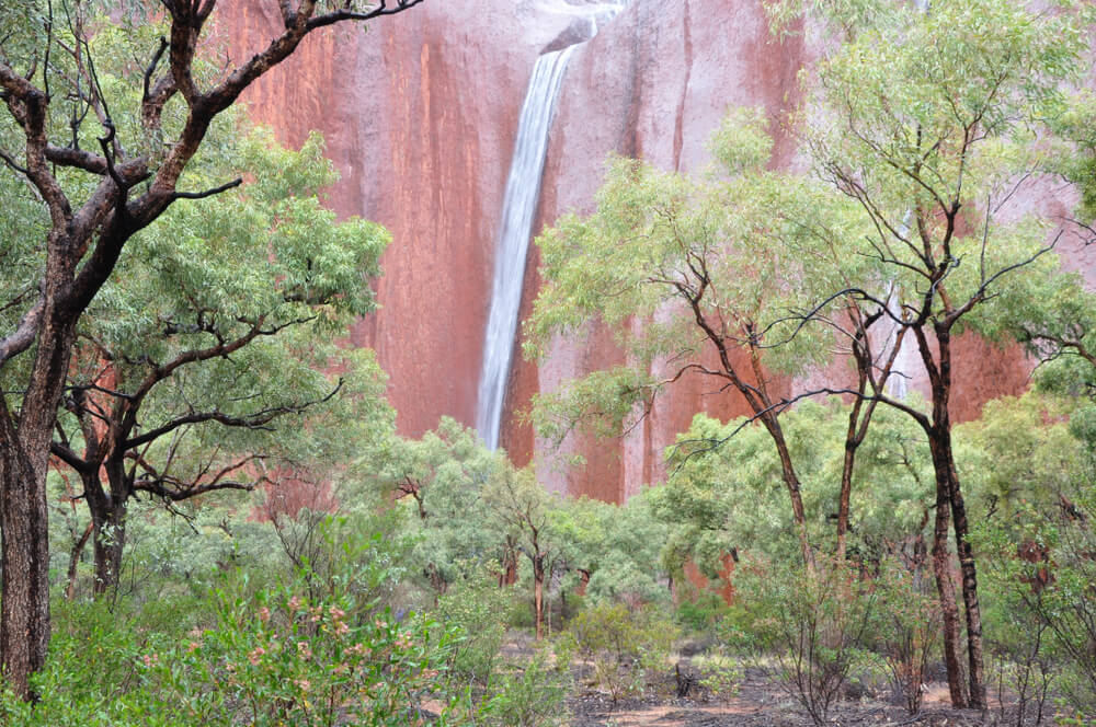 Redek pojav: slapovi na znameniti avstralski gori Uluru