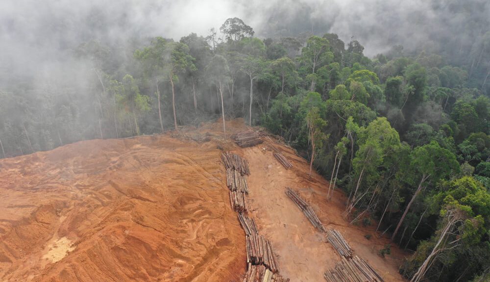 Amazonski pragozd zdaj že oddaja več CO2, kot ga absorbira