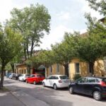 V Ljubljani so razglasili drevored leta 2023