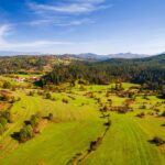 Dan Zemlje 2026: Stanje narave se kljub ukrepom le še slabša