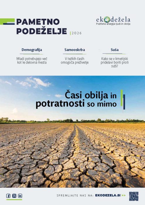 Katere poklice išče lesna industrija in kako namerava privabiti mlade?
