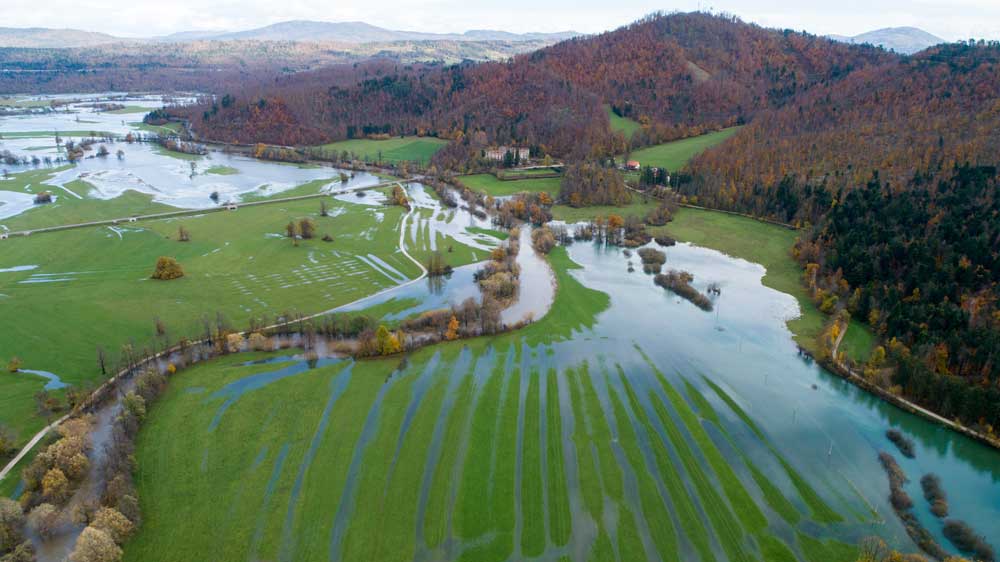 Teden za podnebje: osrednja državna naložba v varnost naj bo obnova narave