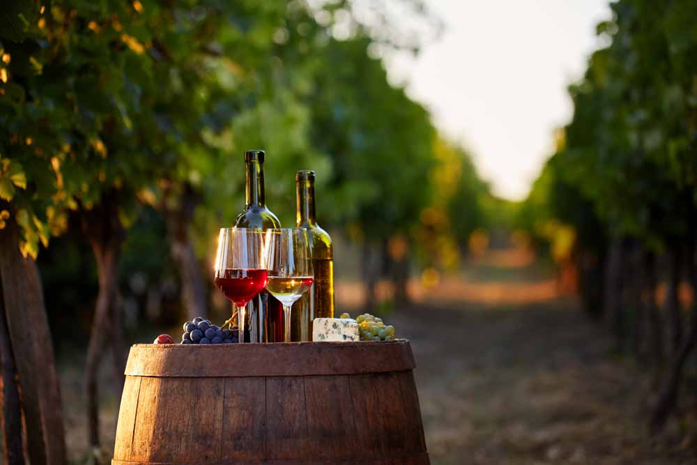 Vino pripoveduje zgodbe o ljudeh, krajih in tradiciji